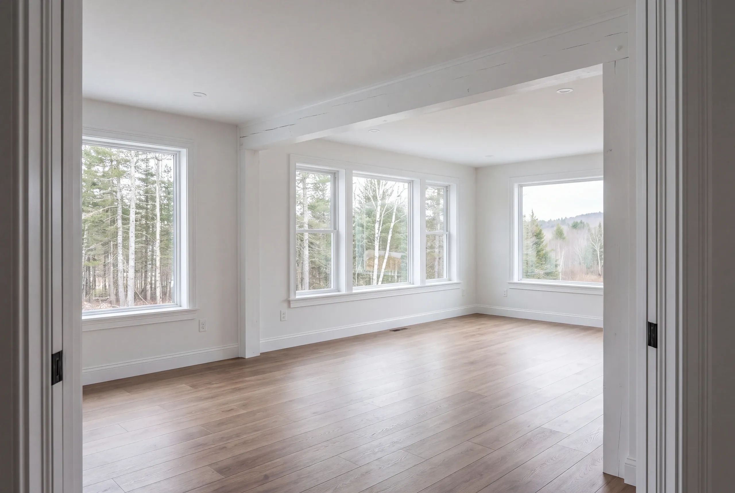 Finished renovated living room in a Vienna home seen from the hall
